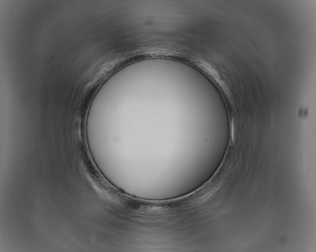 X0000090990205200708021211