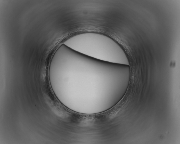 X0000090990206200708021211