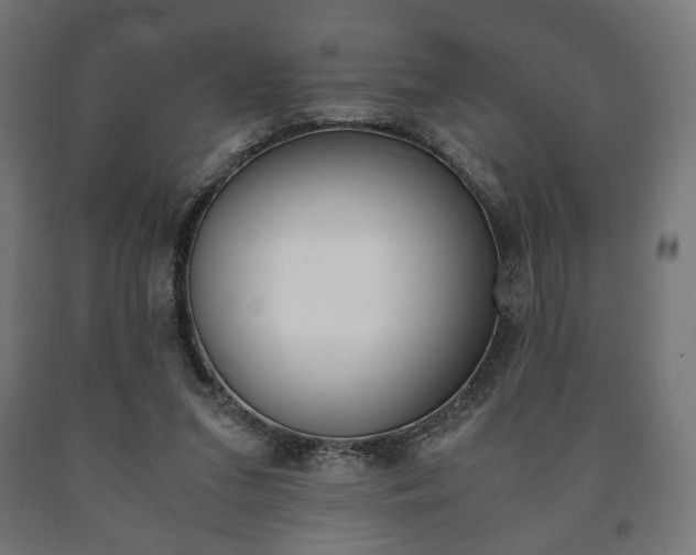 X0000090990207200708021211