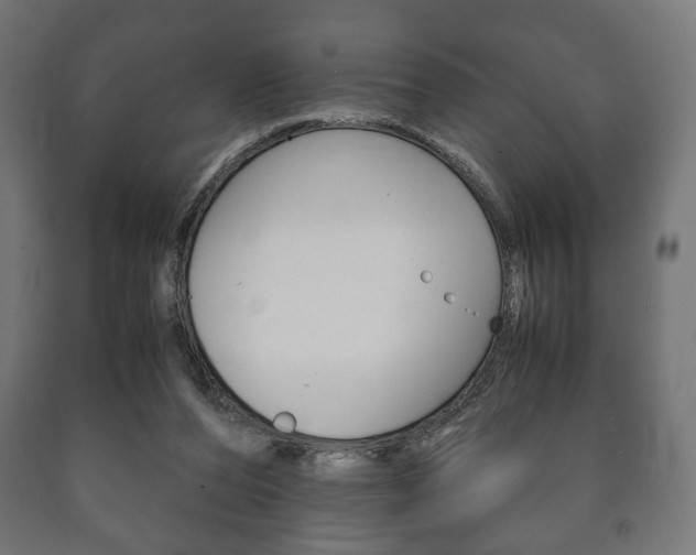 X0000090990208200708021211