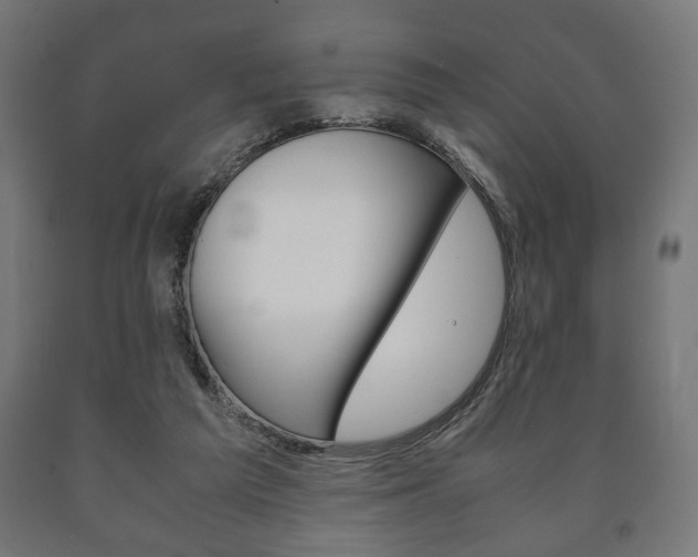 X0000090990209200708021211