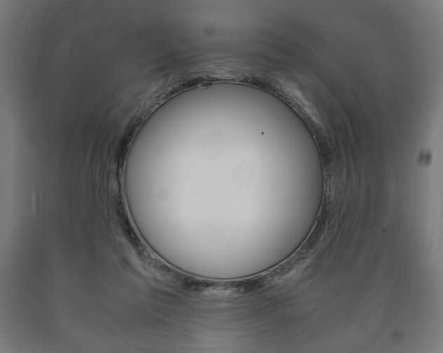 X0000090990213200708021211