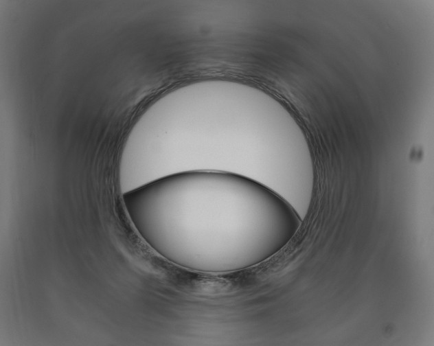 X0000090990215200708021211