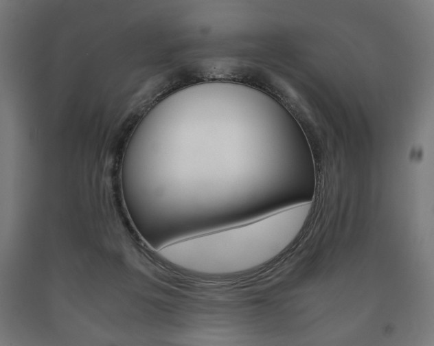 X0000090990217200708021211