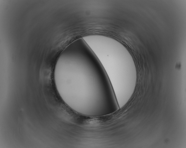 X0000090990219200708021211
