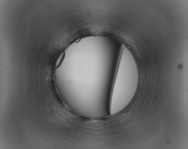 X0000090990221200708021211