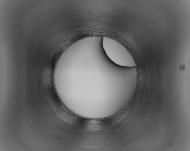 X0000090990222200708021211