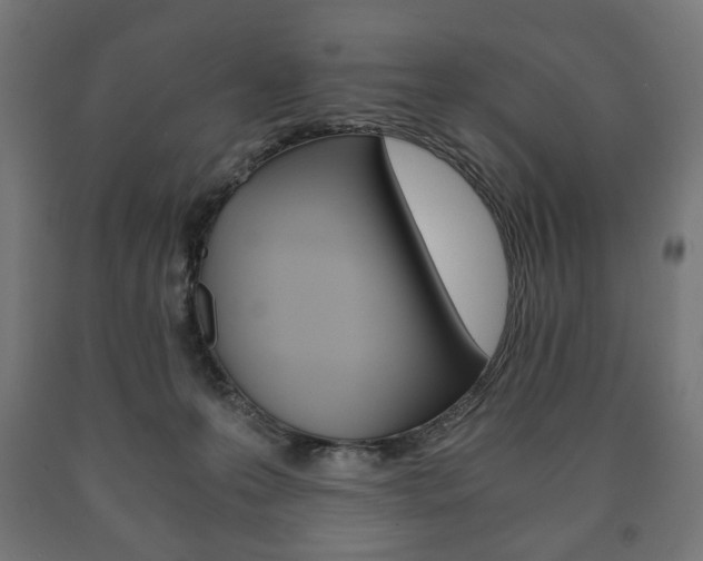 X0000090990223200708021211