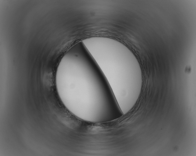 X0000090990224200708021210