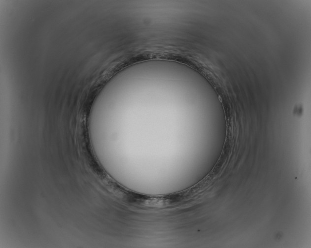 X0000090990225200708021210