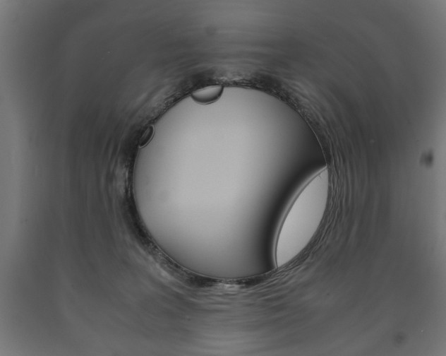 X0000090990227200708021210