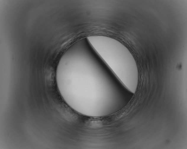 X0000090990228200708021210