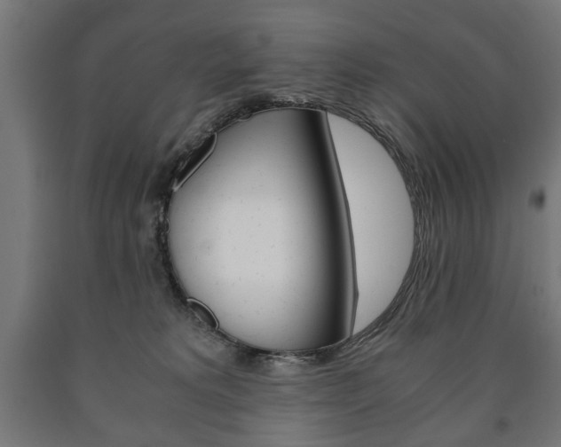 X0000090990229200708021210