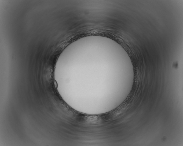 X0000090990230200708021210
