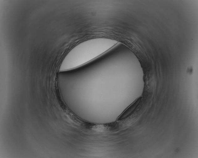 X0000090990231200708021210