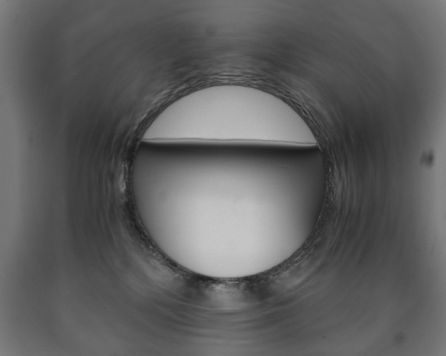 X0000090990232200708021210