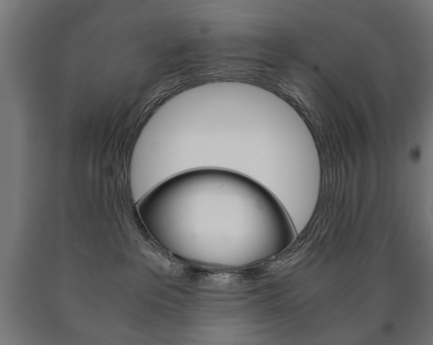 X0000090990237200708021210