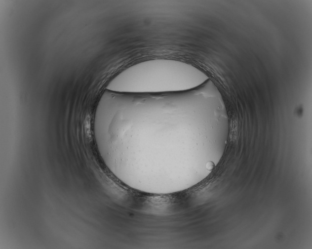 X0000090990238200708021210
