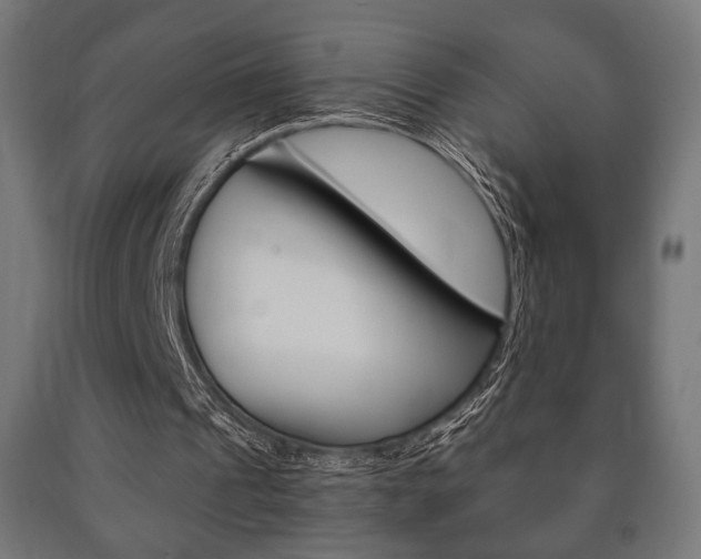 X0000090990241200708021210