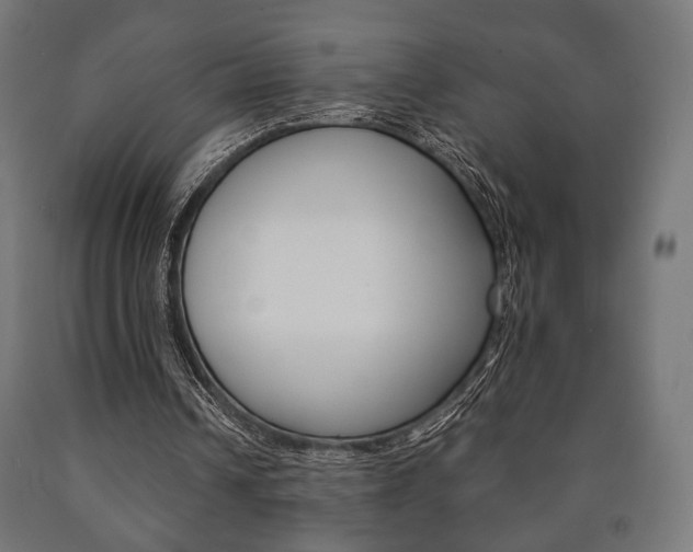 X0000090990242200708021210