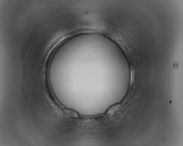 X0000090990243200708021210