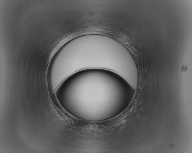 X0000090990244200708021210