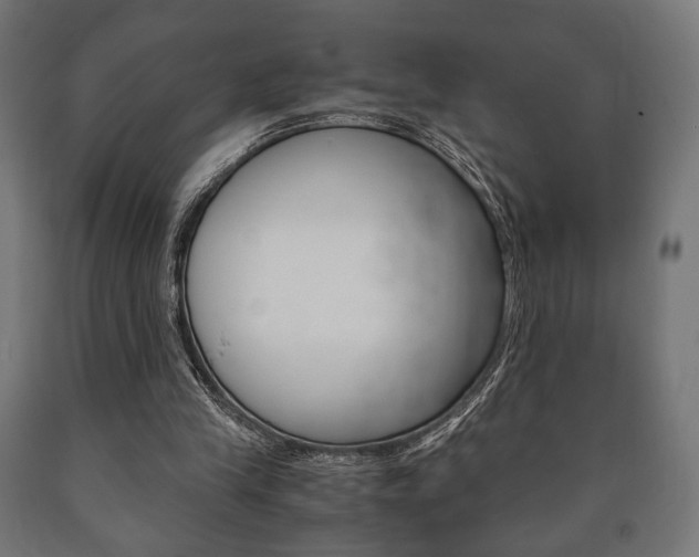 X0000090990245200708021210