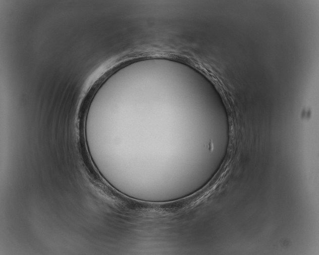 X0000090990246200708021210