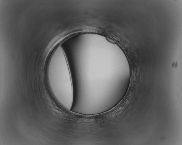 X0000090990247200708021210