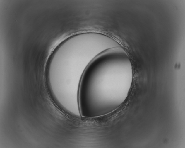 X0000090990248200708021210
