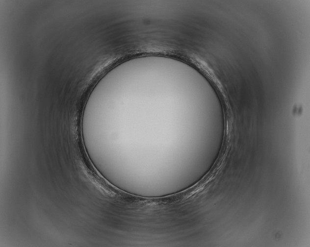 X0000090990249200708021210