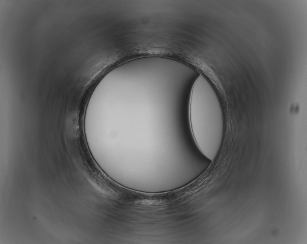 X0000090990251200708021210