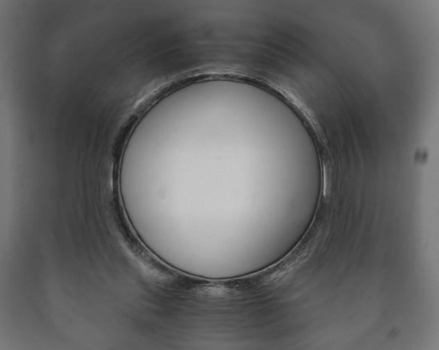 X0000090990253200708021210