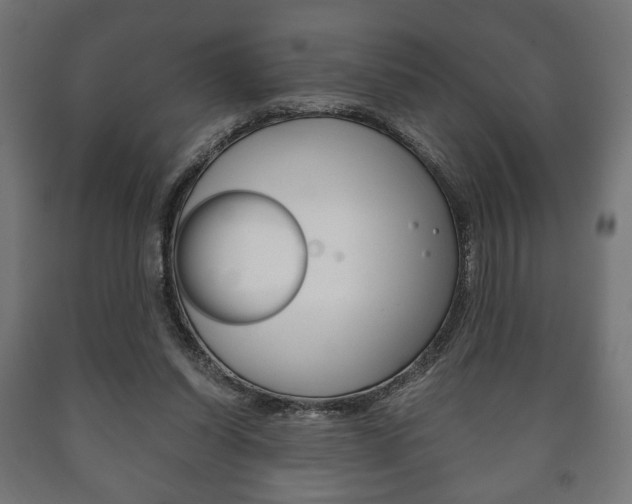 X0000090990254200708021210