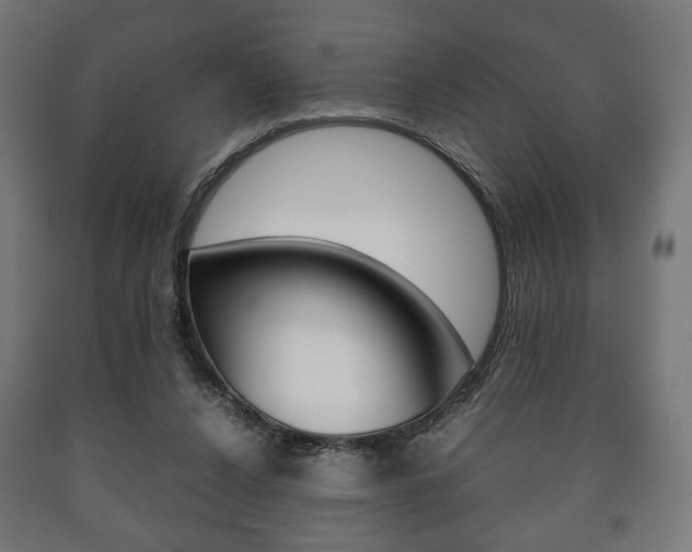 X0000090990256200708021210