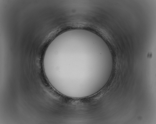 X0000090990258200708021210