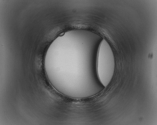 X0000090990259200708021210