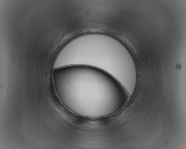 X0000090990260200708021210