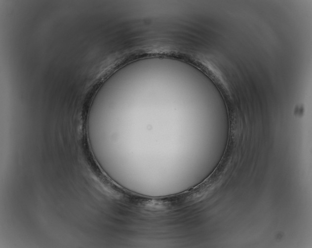 X0000090990261200708021210