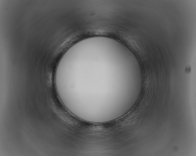 X0000090990262200708021210