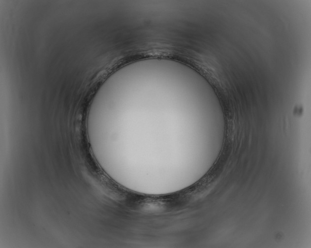 X0000090990263200708021210