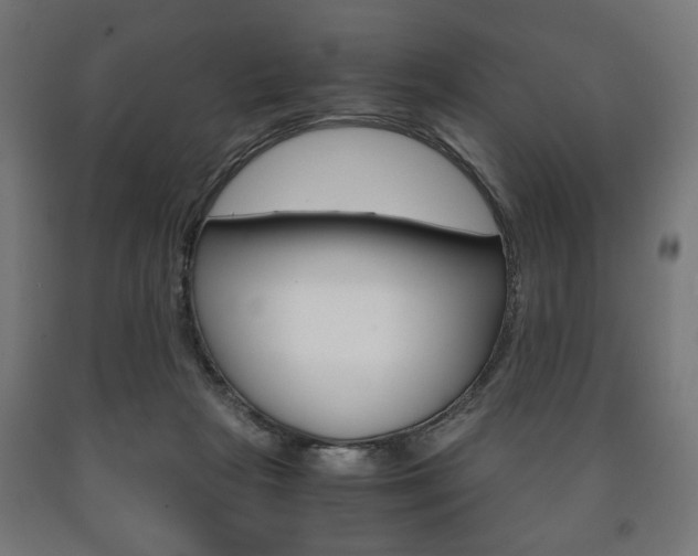X0000090990265200708021210