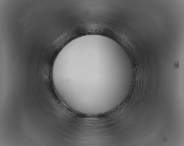 X0000090990266200708021210