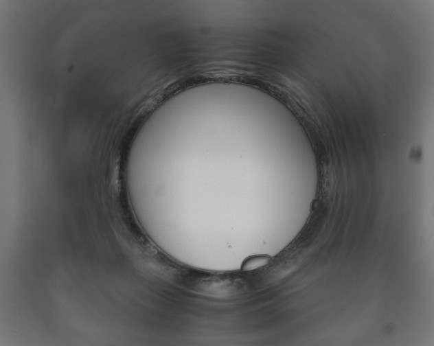 X0000090990267200708021210