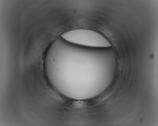 X0000090990269200708021210