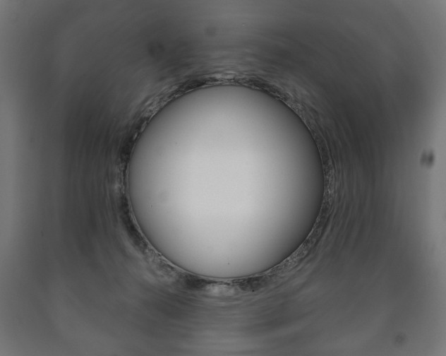 X0000090990272200708021210