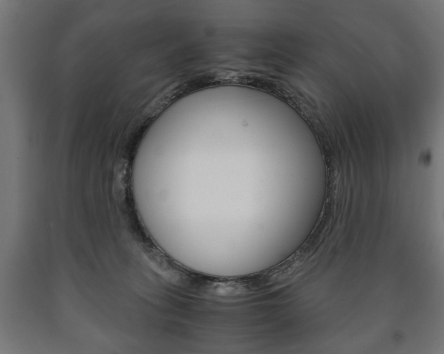 X0000090990275200708021210