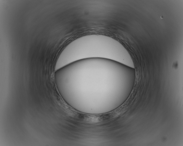 X0000090990276200708021210
