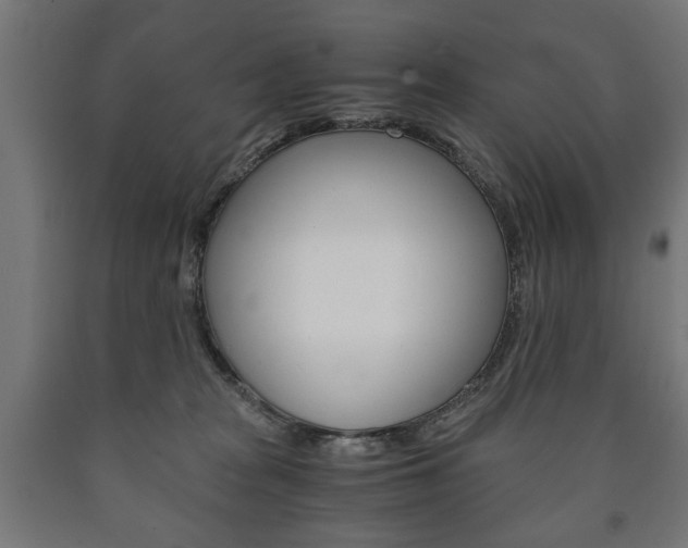 X0000090990277200708021210