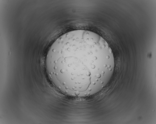X0000090990278200708021210
